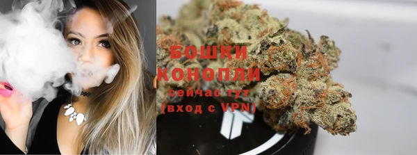 mix Богородицк