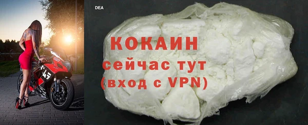 mix Богородицк