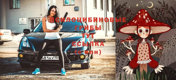 apvp Богданович