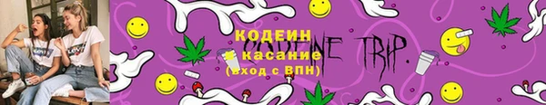 mix Богородицк