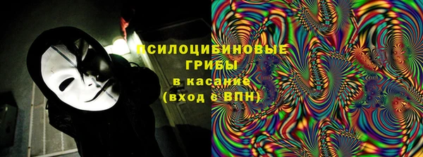 apvp Богданович