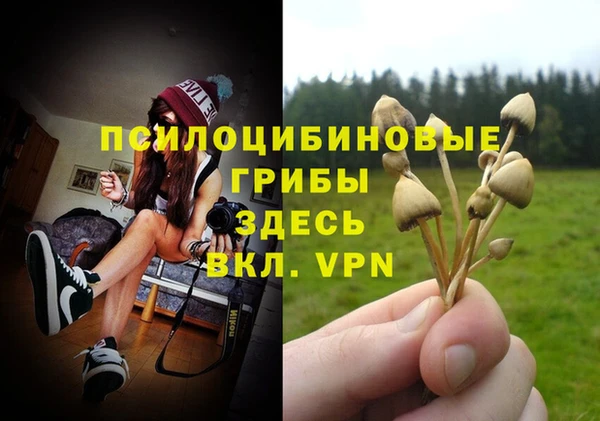 apvp Богданович