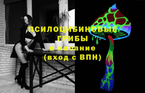 apvp Богданович