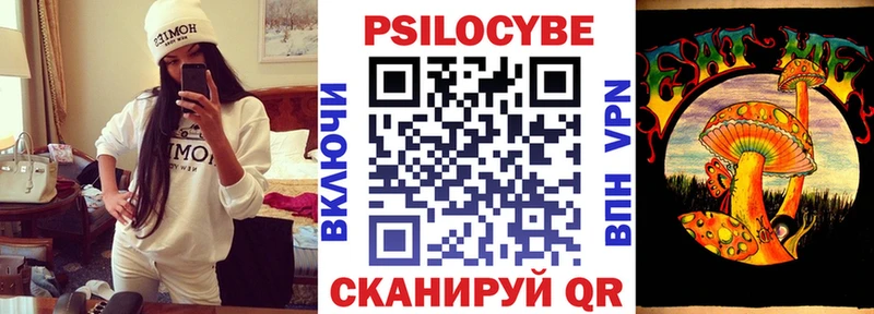 Псилоцибиновые грибы мицелий  Купить закладки  Богородск 